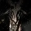 Rage Of Demon